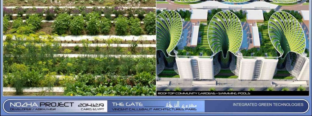 •السقف الأخضرفي مشروع The Gate